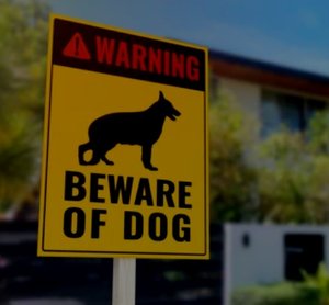 Screenshot+2023-08-18+at+12.13